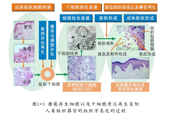 菲彩国际·(中国区)有限公司官网