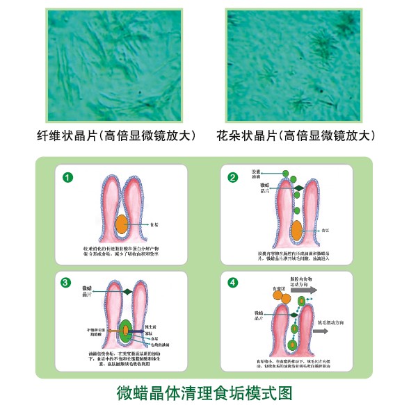 菲彩国际·(中国区)有限公司官网