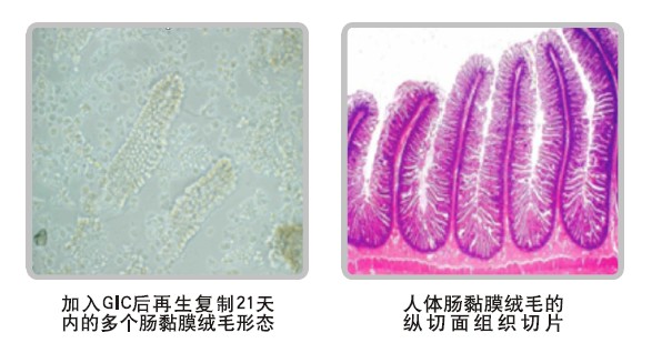 菲彩国际·(中国区)有限公司官网