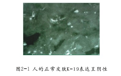 菲彩国际·(中国区)有限公司官网