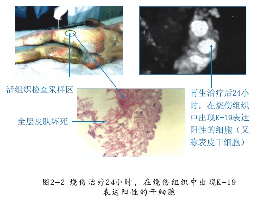 菲彩国际·(中国区)有限公司官网