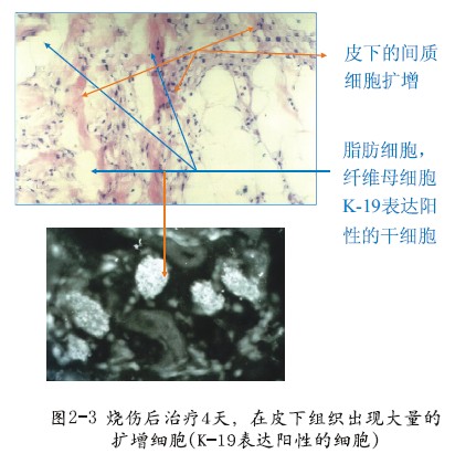 菲彩国际·(中国区)有限公司官网
