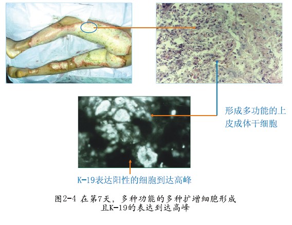 菲彩国际·(中国区)有限公司官网