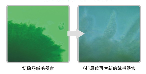 菲彩国际·(中国区)有限公司官网
