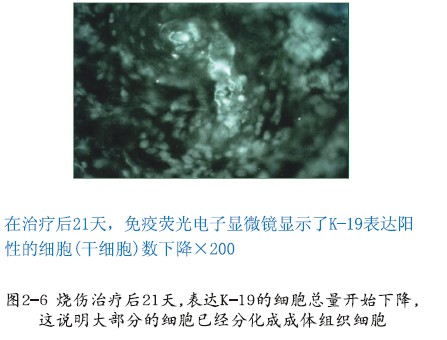 菲彩国际·(中国区)有限公司官网