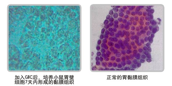 菲彩国际·(中国区)有限公司官网