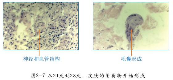 菲彩国际·(中国区)有限公司官网