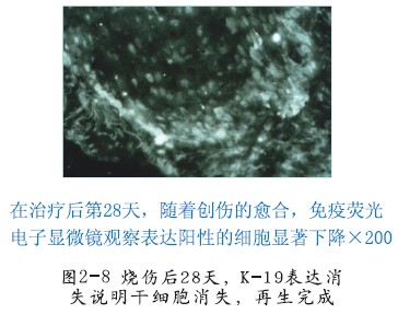 菲彩国际·(中国区)有限公司官网