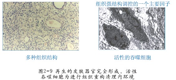 菲彩国际·(中国区)有限公司官网