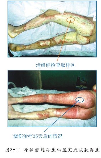 菲彩国际·(中国区)有限公司官网