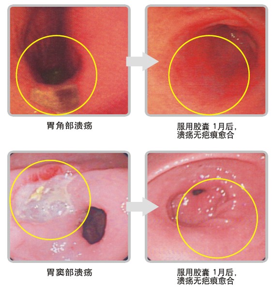 菲彩国际·(中国区)有限公司官网