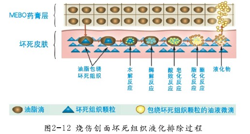 菲彩国际·(中国区)有限公司官网
