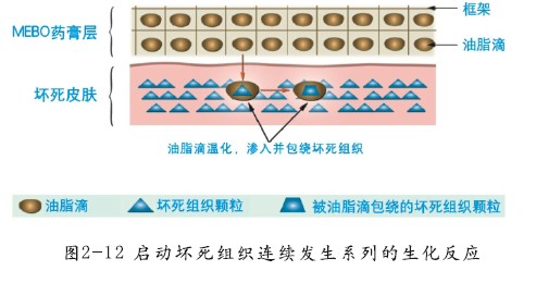 菲彩国际·(中国区)有限公司官网