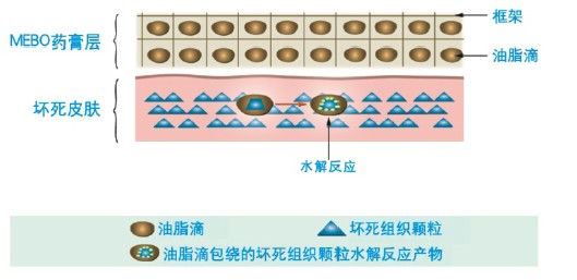 菲彩国际·(中国区)有限公司官网