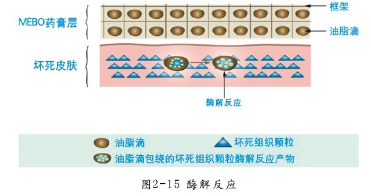 菲彩国际·(中国区)有限公司官网