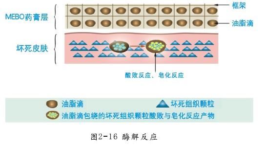 菲彩国际·(中国区)有限公司官网
