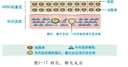 菲彩国际·(中国区)有限公司官网