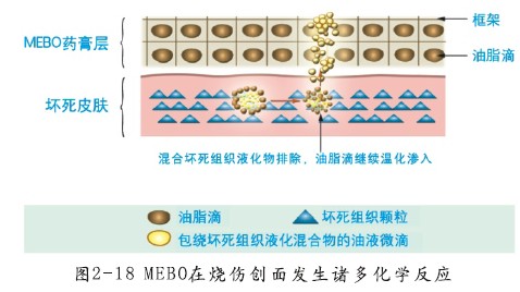菲彩国际·(中国区)有限公司官网