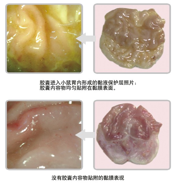 菲彩国际·(中国区)有限公司官网