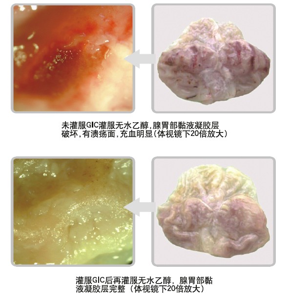 菲彩国际·(中国区)有限公司官网