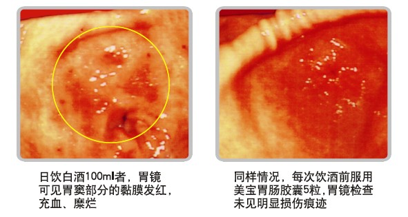 菲彩国际·(中国区)有限公司官网