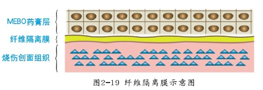 菲彩国际·(中国区)有限公司官网