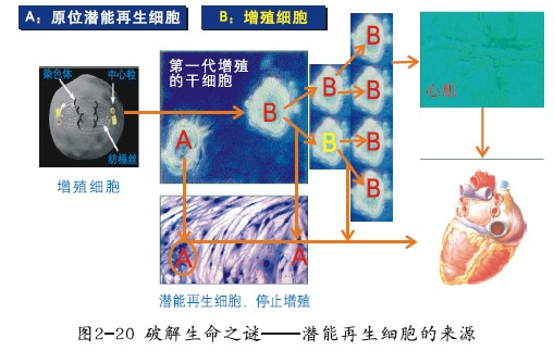菲彩国际·(中国区)有限公司官网