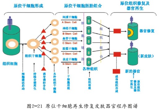 菲彩国际·(中国区)有限公司官网
