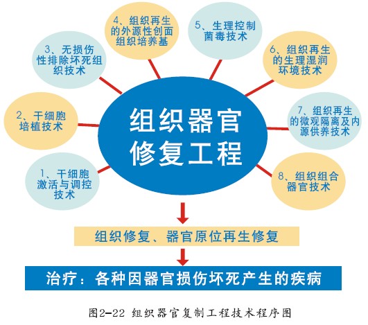 菲彩国际·(中国区)有限公司官网