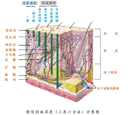 菲彩国际·(中国区)有限公司官网
