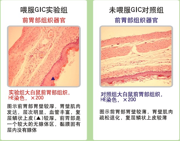 菲彩国际·(中国区)有限公司官网