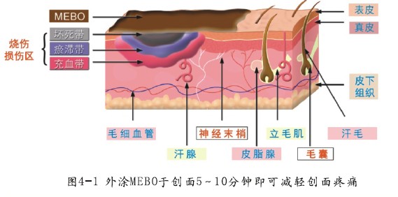 菲彩国际·(中国区)有限公司官网
