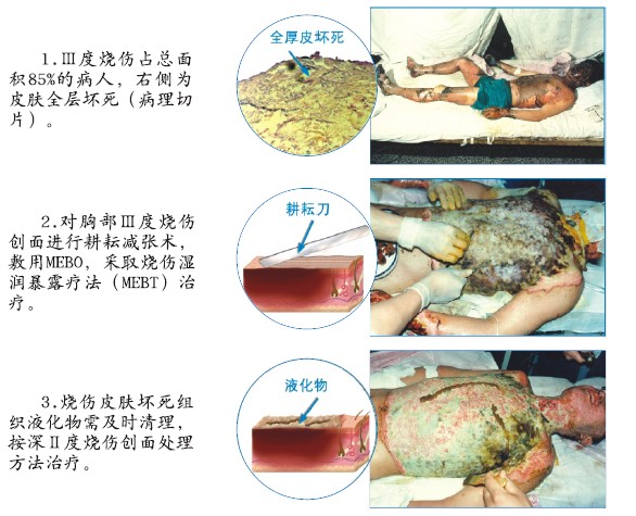 菲彩国际·(中国区)有限公司官网