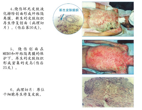 菲彩国际·(中国区)有限公司官网