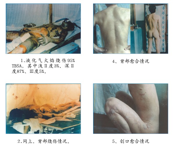菲彩国际·(中国区)有限公司官网