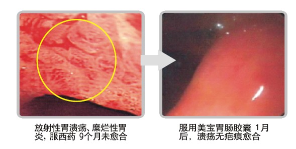 菲彩国际·(中国区)有限公司官网