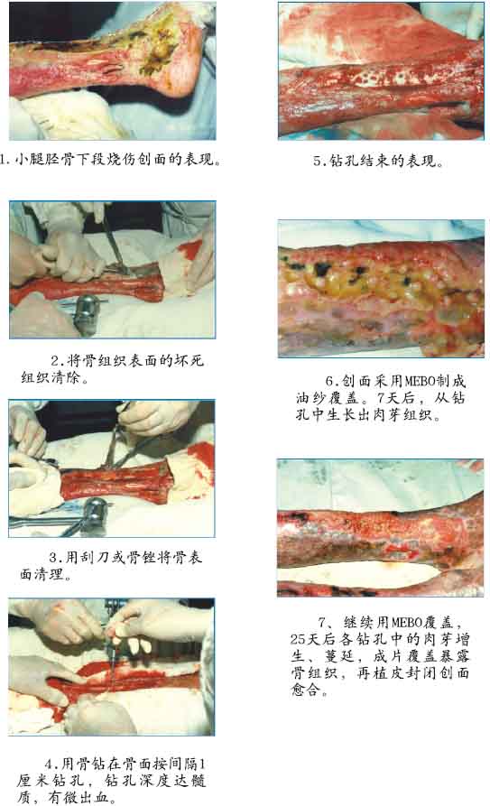 菲彩国际·(中国区)有限公司官网