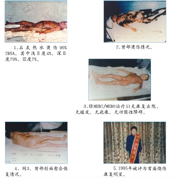 菲彩国际·(中国区)有限公司官网