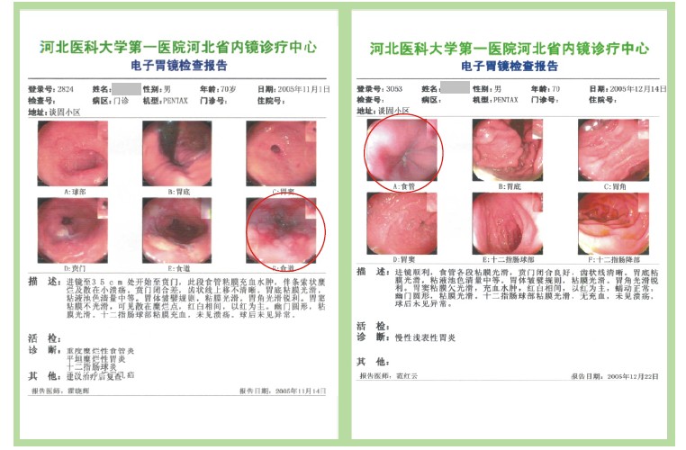 菲彩国际·(中国区)有限公司官网