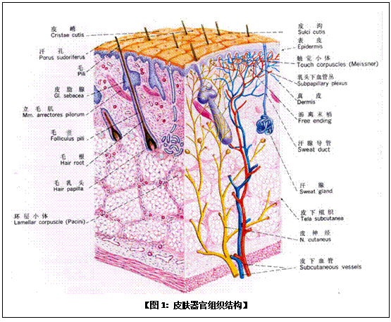 菲彩国际·(中国区)有限公司官网