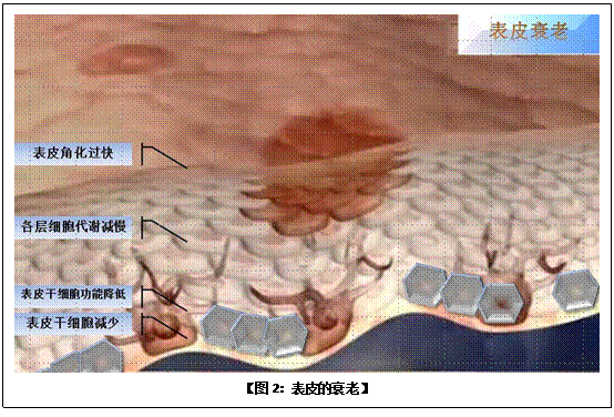 菲彩国际·(中国区)有限公司官网
