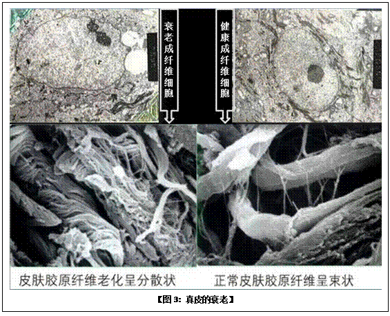 菲彩国际·(中国区)有限公司官网