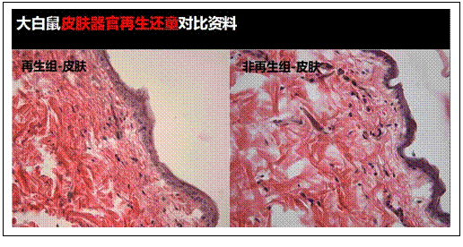 菲彩国际·(中国区)有限公司官网
