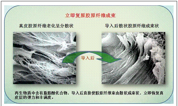 菲彩国际·(中国区)有限公司官网