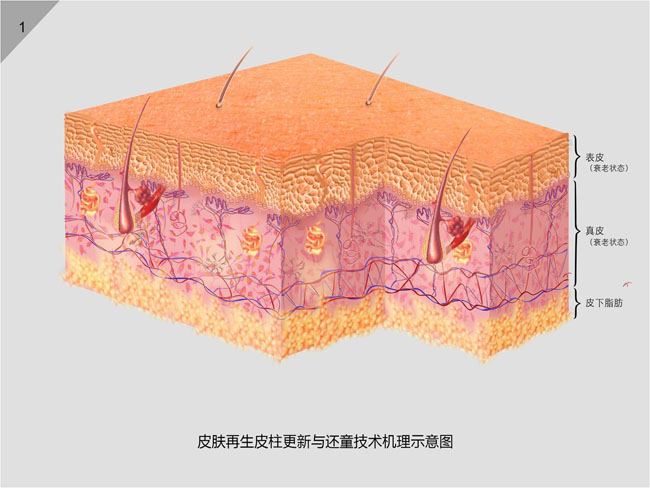 菲彩国际·(中国区)有限公司官网