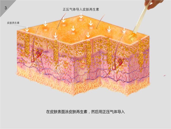 菲彩国际·(中国区)有限公司官网
