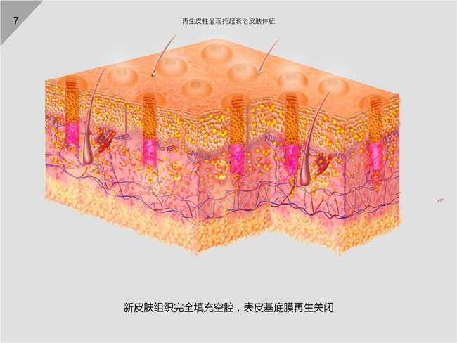 菲彩国际·(中国区)有限公司官网