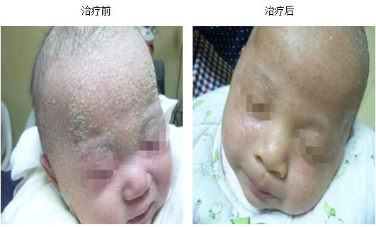 菲彩国际·(中国区)有限公司官网