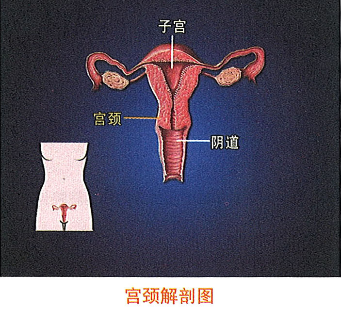 菲彩国际·(中国区)有限公司官网