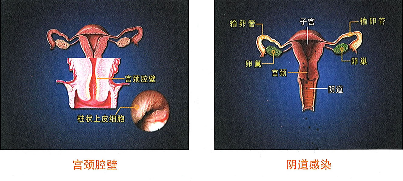 菲彩国际·(中国区)有限公司官网